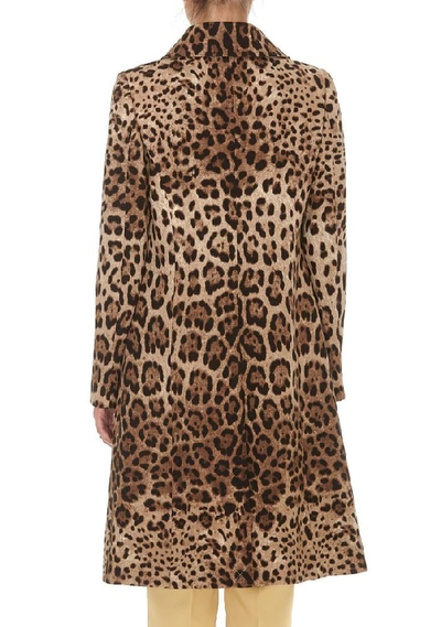 Shop Dolce & Gabbana Leopard Print Single Breasted Coat In Multi