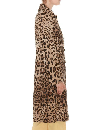 Shop Dolce & Gabbana Leopard Print Single Breasted Coat In Multi