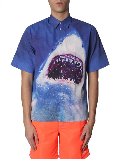 Shop Msgm Shark Print Shirt In Multicolour