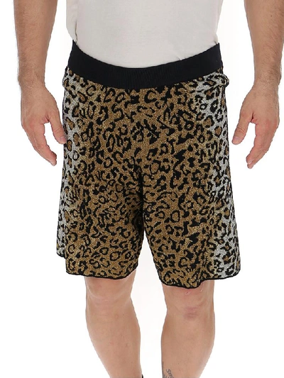 Shop Versace Leopard Printed Bermuda Shorts In Multi