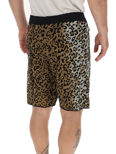 Shop Versace Leopard Printed Bermuda Shorts In Multi