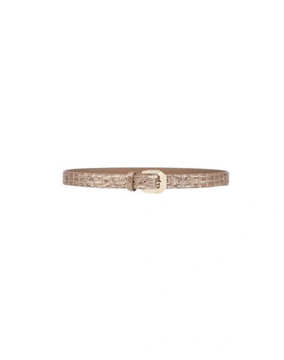 Shop Nanni Thin Belt In Camel