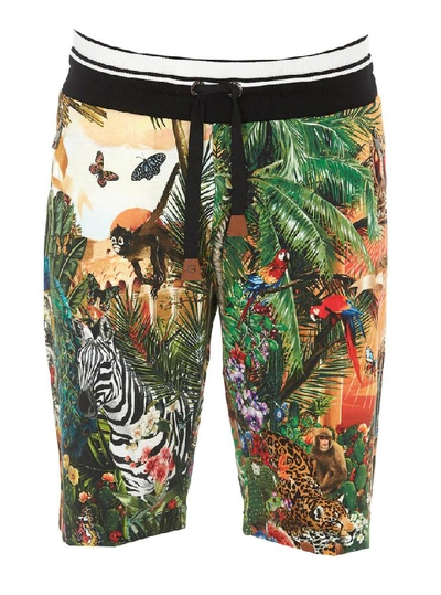 Shop Dolce & Gabbana Printed Bermuda Shorts In Multi