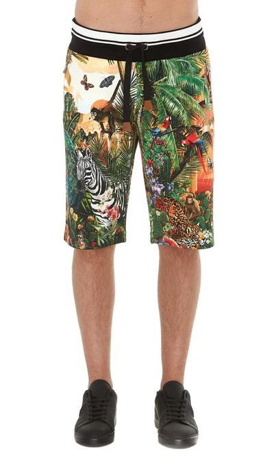 Shop Dolce & Gabbana Printed Bermuda Shorts In Multi