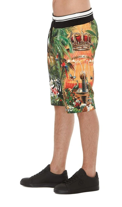 Shop Dolce & Gabbana Printed Bermuda Shorts In Multi