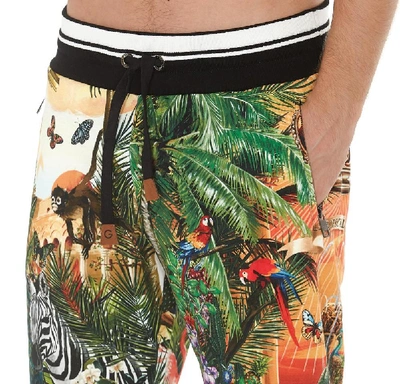 Shop Dolce & Gabbana Printed Bermuda Shorts In Multi