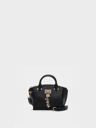 Dkny cheap mini satchel