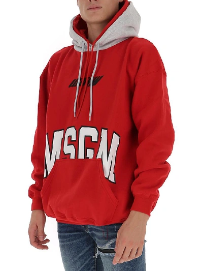 Shop Msgm Logo Printed Hoodie In Multi