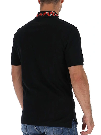 Shop Gucci Snake Collar Embroidered Polo Shirt In Black