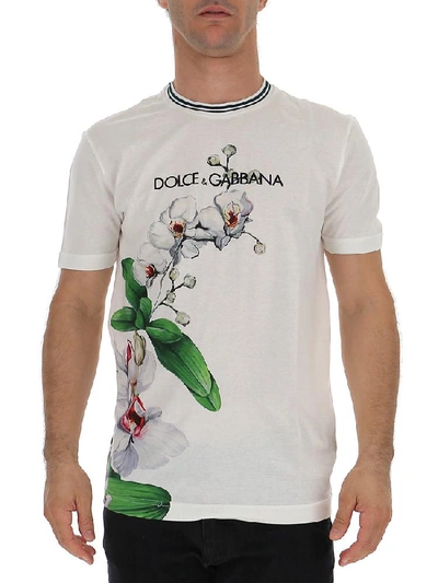 Shop Dolce & Gabbana Orchid Logo Print T In White