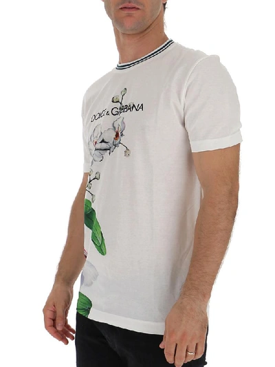 Shop Dolce & Gabbana Orchid Logo Print T In White