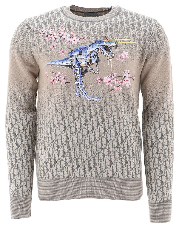 grey dior sweater