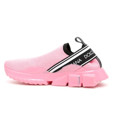 Shop Dolce & Gabbana Sorrento Sneakers In Pink