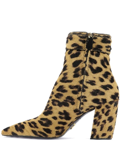 Shop Prada Leopard Print Chunky Heel Ankle Boots In Multi