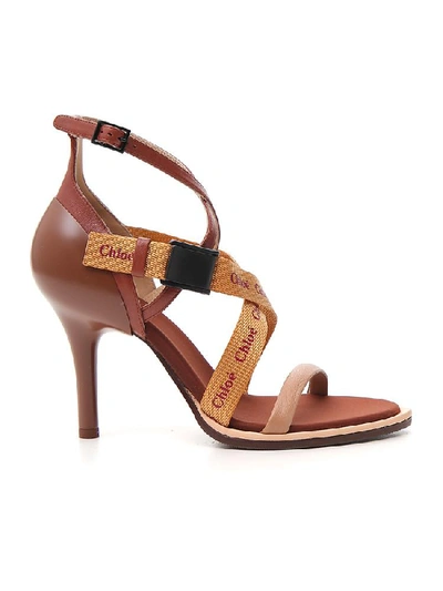 Shop Chloé Logo Strap Sandals In Brown