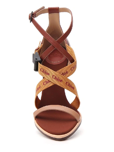 Shop Chloé Logo Strap Sandals In Brown