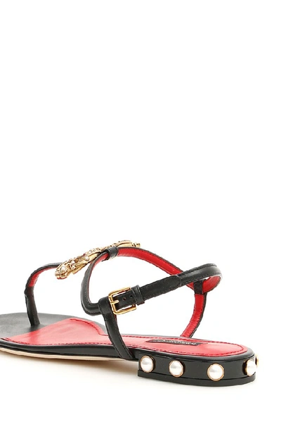 Shop Dolce & Gabbana Dg Amore Logo Sandals In Black