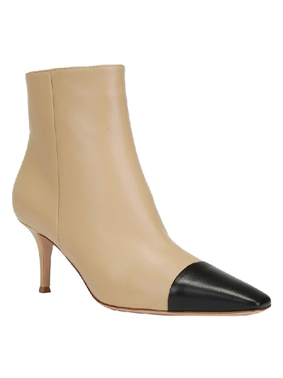 Shop Gianvito Rossi Pointed Toe Ankle Boots In Multi