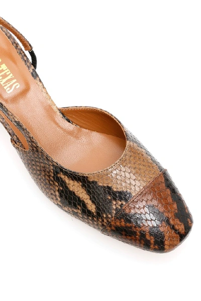 Shop Paris Texas Python Printed Slingback Shoes In Brown