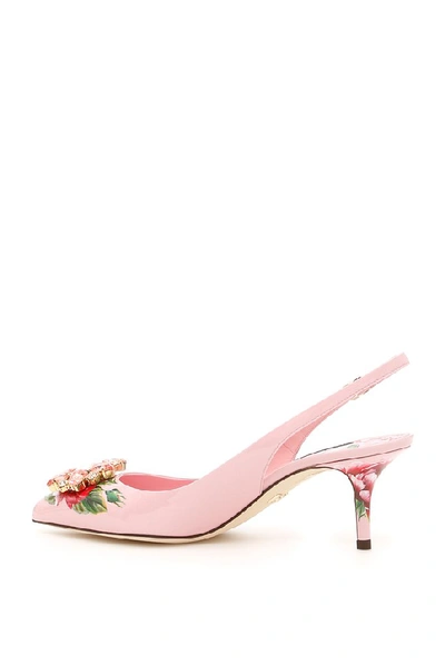 Shop Dolce & Gabbana Rose Print Belucci Slingbacks In Pink