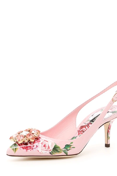 Shop Dolce & Gabbana Rose Print Belucci Slingbacks In Pink