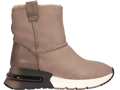 Shop Ash Kyoto Snow Boots In Brown