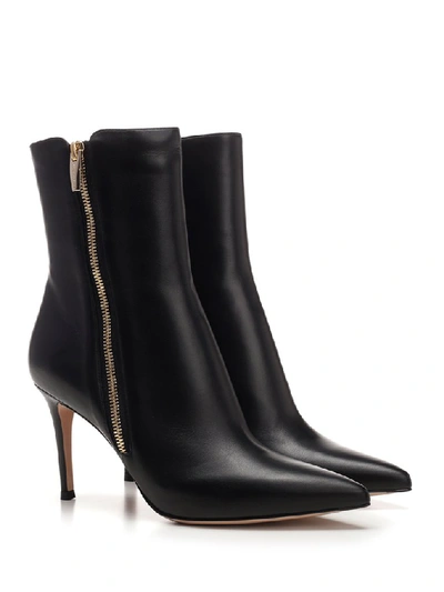 Shop Gianvito Rossi Pointed Toe Zipped Ankle Boots In Black