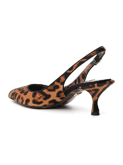 Shop Dolce & Gabbana Leopard Print Slingback Pointed Toe Pumps In Multi