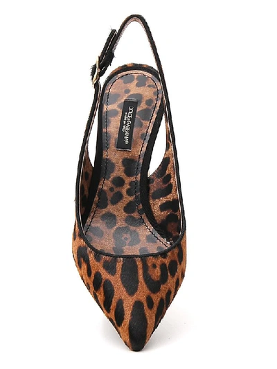 Shop Dolce & Gabbana Leopard Print Slingback Pointed Toe Pumps In Multi