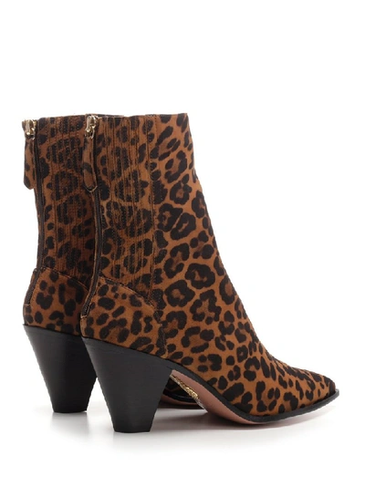Shop Aquazzura Leopard Print Pointed Toe Boots In Animalier
