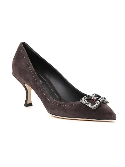 Shop Dolce & Gabbana Dg Amore Logo Embellished Pumps In Brown