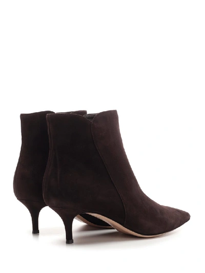 Shop Gianvito Rossi Zipped Ankle Boots In Brown