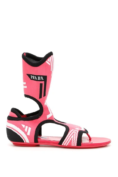 Shop Prada Logo Stretch Socks Sandals In Pink