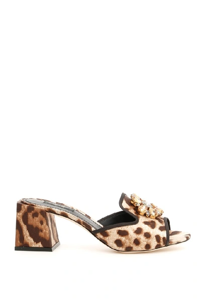 Shop Dolce & Gabbana Leopard Print Sandals In Brown
