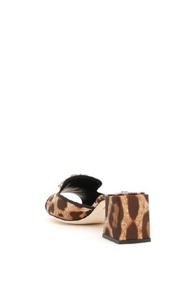 Shop Dolce & Gabbana Leopard Print Sandals In Brown