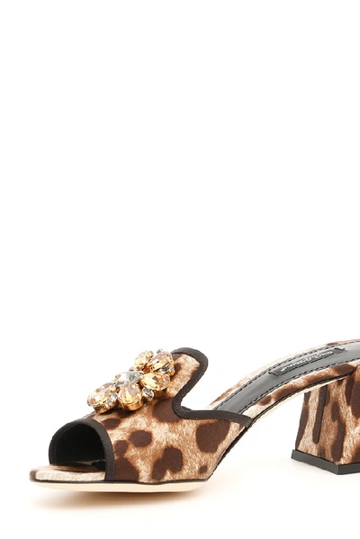 Shop Dolce & Gabbana Leopard Print Sandals In Brown