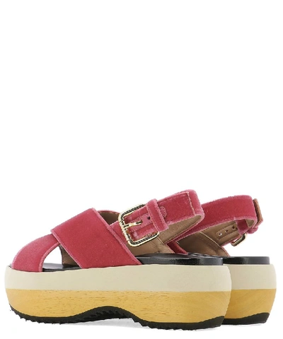 Shop Marni Crossover Platform Sandals In Pink