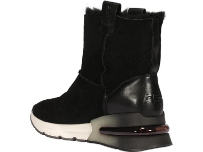 Shop Ash Kyoto Ankle Boots In Black