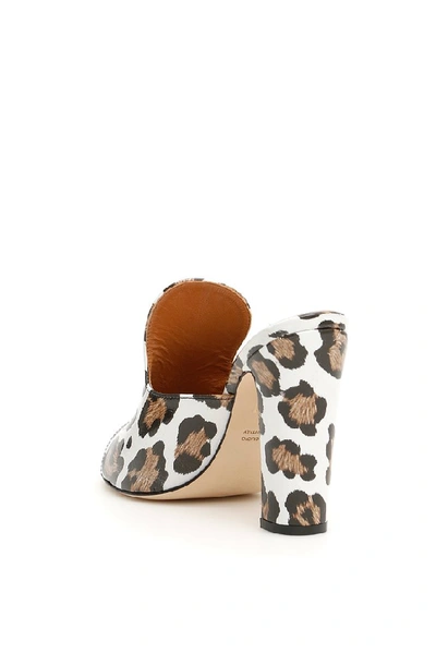 Shop Paris Texas Animal Print Open Toe Mules In Multi