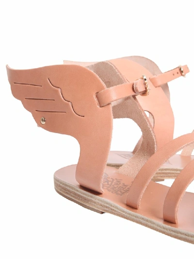 Shop Ancient Greek Sandals Ikaria Wing Sandals In Pink