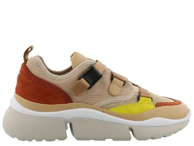 Shop Chloé Sonnie Low Top Sneakers In Multi