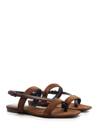 Shop Saint Laurent Hiandra Toe Loop Sandals In Brown