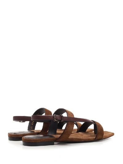 Shop Saint Laurent Hiandra Toe Loop Sandals In Brown