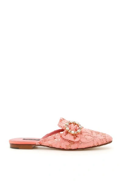 Shop Dolce & Gabbana Lace Embellished Buckle Slippers In Pink