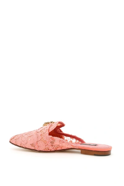 Shop Dolce & Gabbana Lace Embellished Buckle Slippers In Pink