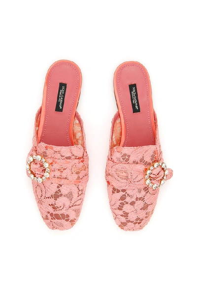 Shop Dolce & Gabbana Lace Embellished Buckle Slippers In Pink