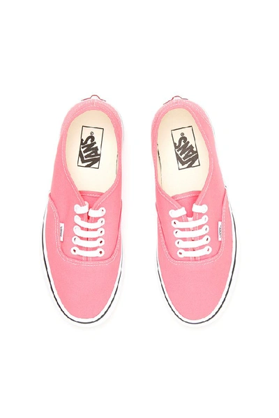 Shop Vans Authentic Lace Up Sneakers In Pink