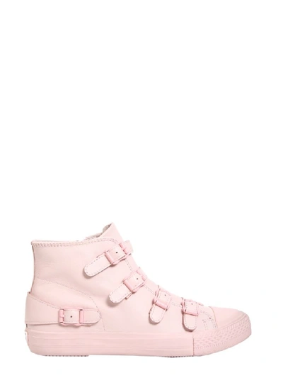 Shop Ash High Top Venus Sneakers In Pink