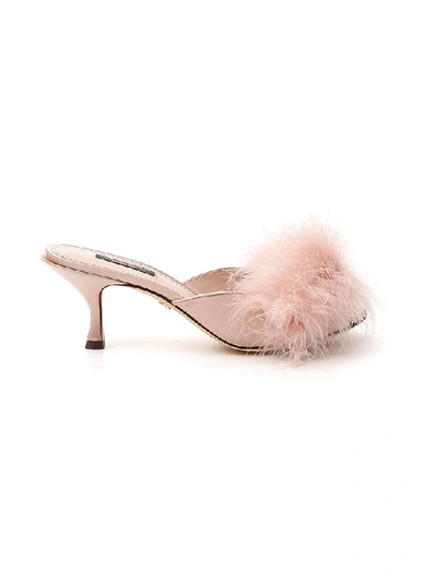 Shop Dolce & Gabbana Feather Detail Mules In Beige