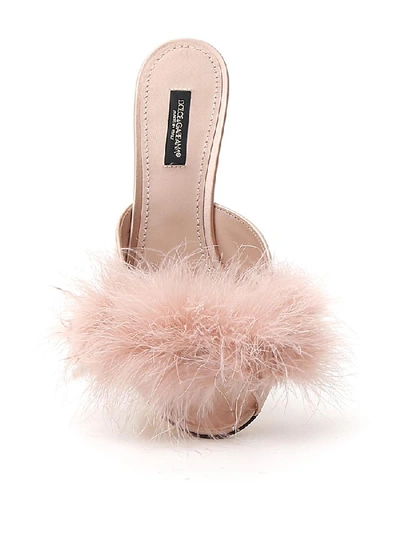 Shop Dolce & Gabbana Feather Detail Mules In Beige